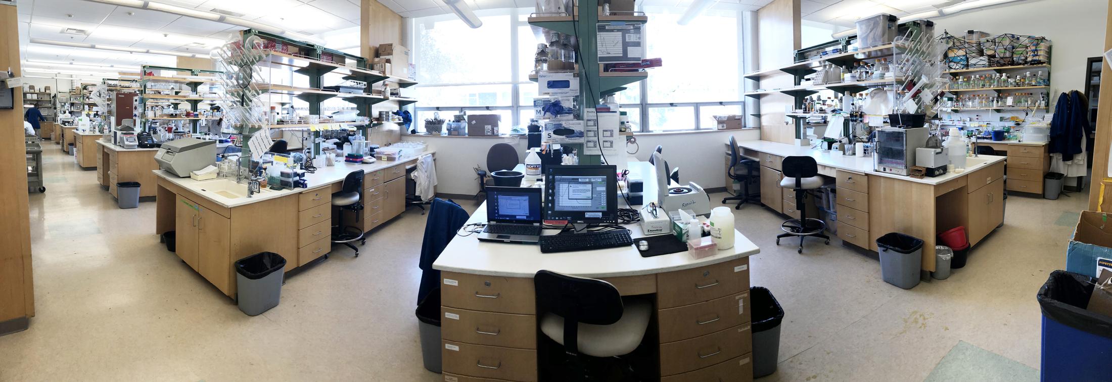 lab-picture