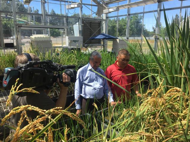 Randy and Dr. Khush being filmed